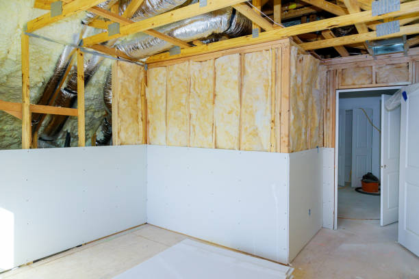 Best Specialized Insulation Services in Duson, LA