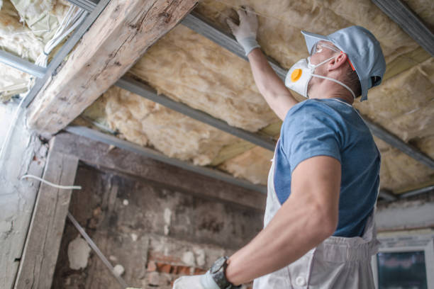 Best Commercial Insulation in Duson, LA