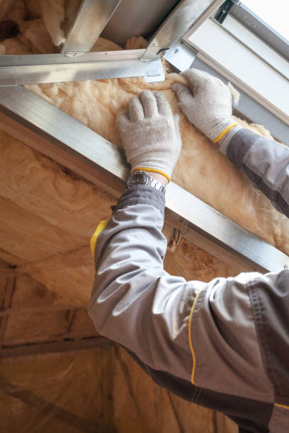 Best Spray Foam Insulation in Duson, LA