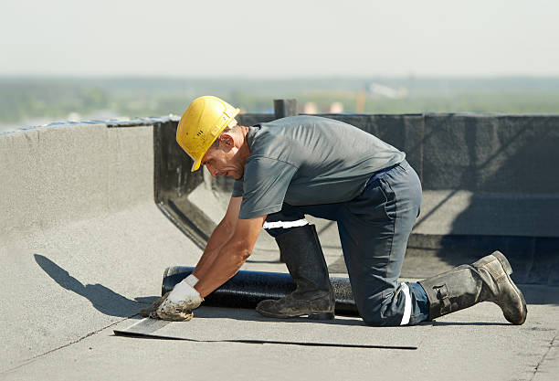 Best Cellulose Insulation in Duson, LA