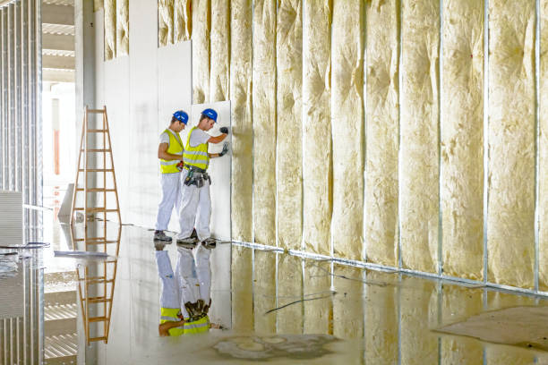 Types of Insulation We Offer in Duson, LA